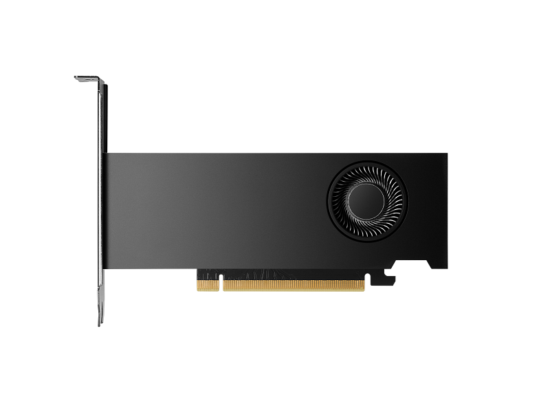HP Nvidia RTX 2000 Ada Workstation Graphics Card, GDDR6 16 GB 128-bit Memory, 4 x Mini DP 1.4a Outputs, PCI Express 4.0, 224  GB/s Memory Bandwidth, 1 Year Warranty | 8D6B8AA