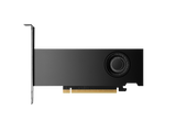 HP Nvidia RTX 2000 Ada Workstation Graphics Card, GDDR6 16 GB 128-bit Memory, 4 x Mini DP 1.4a Outputs, PCI Express 4.0, 224  GB/s Memory Bandwidth, 1 Year Warranty | 8D6B8AA