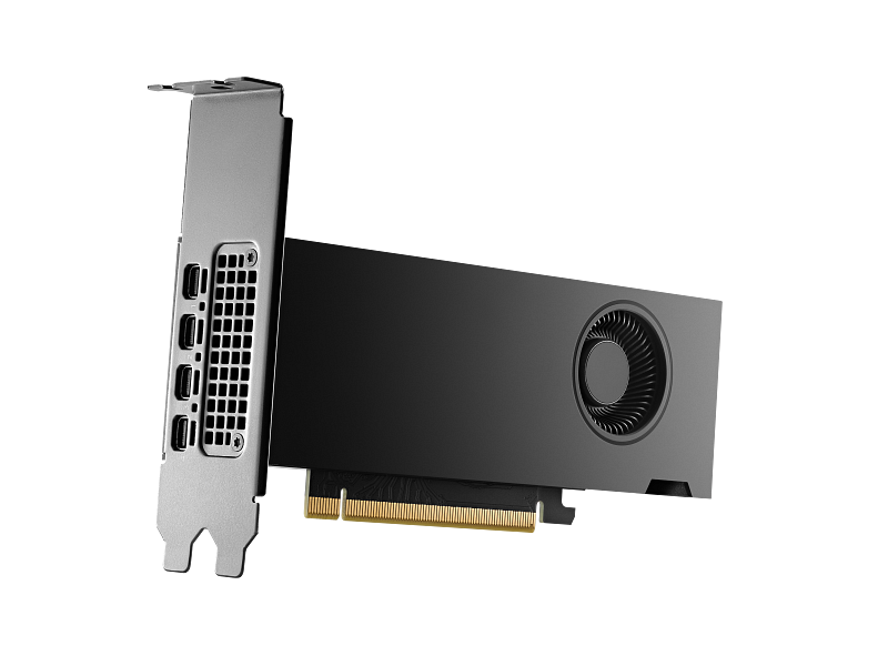 HP Nvidia RTX 2000 Ada Workstation Graphics Card, GDDR6 16 GB 128-bit Memory, 4 x Mini DP 1.4a Outputs, PCI Express 4.0, 224  GB/s Memory Bandwidth, 1 Year Warranty | 8D6B8AA