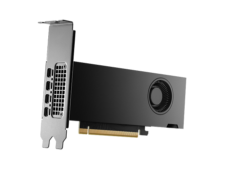 HP Nvidia RTX 2000 Ada Workstation Graphics Card, GDDR6 16 GB 128-bit Memory, 4 x Mini DP 1.4a Outputs, PCI Express 4.0, 224  GB/s Memory Bandwidth, 1 Year Warranty | 8D6B8AA
