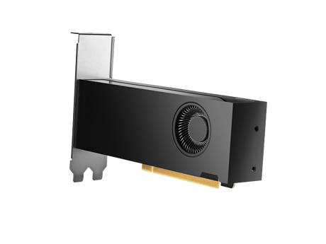 HP Nvidia RTX 2000 Ada Workstation Graphics Card, GDDR6 16 GB 128-bit Memory, 4 x Mini DP 1.4a Outputs, PCI Express 4.0, 224  GB/s Memory Bandwidth, 1 Year Warranty | 8D6B8AA