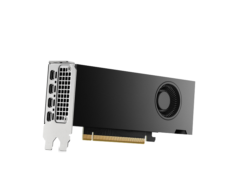 HP Nvidia RTX 2000 Ada Workstation Graphics Card, GDDR6 16 GB 128-bit Memory, 4 x Mini DP 1.4a Outputs, PCI Express 4.0, 224  GB/s Memory Bandwidth, 1 Year Warranty | 8D6B8AA