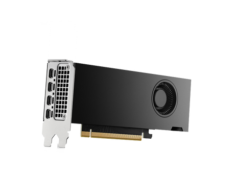 HP Nvidia RTX 2000 Ada Workstation Graphics Card, GDDR6 16 GB 128-bit Memory, 4 x Mini DP 1.4a Outputs, PCI Express 4.0, 224  GB/s Memory Bandwidth, 1 Year Warranty | 8D6B8AA